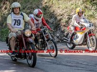 2015-08-30-Porretta Castelluccio-0545- D724067 600 72 f